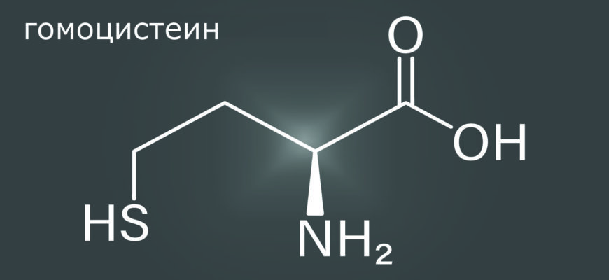 Гомоцистеин
