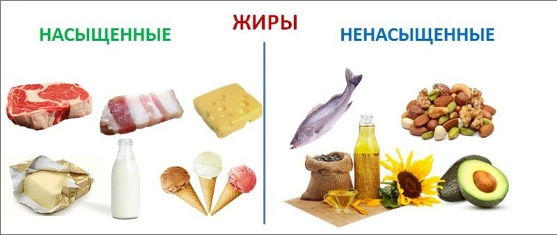 Виды жиров