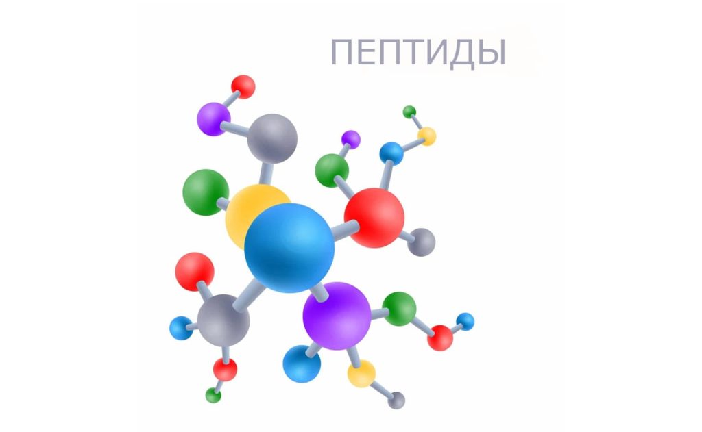 Пептиды